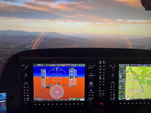 Flight Simulation